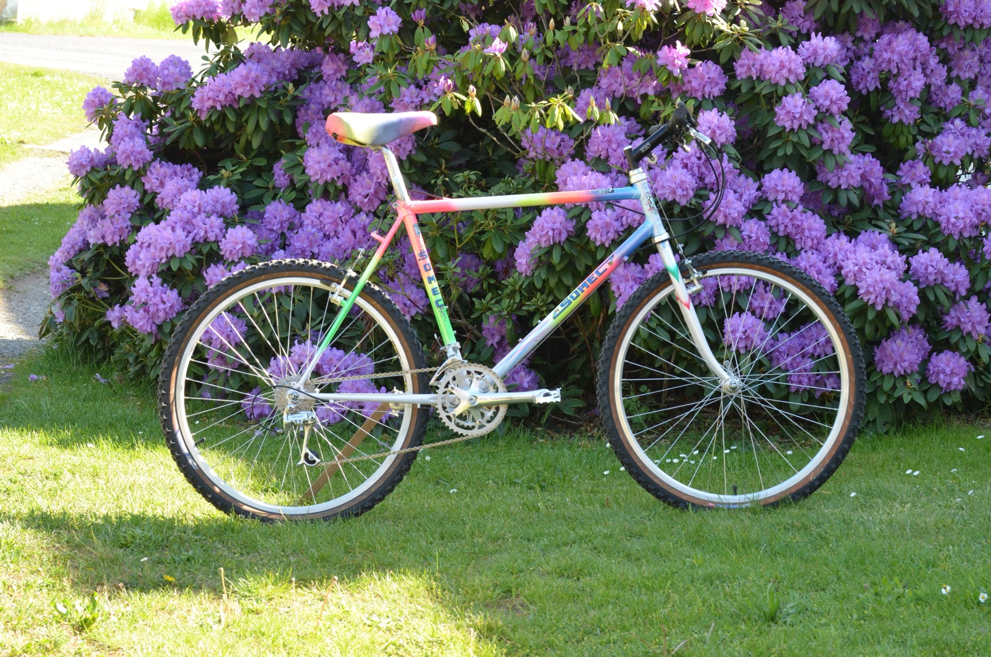 Euro MTB: Somec