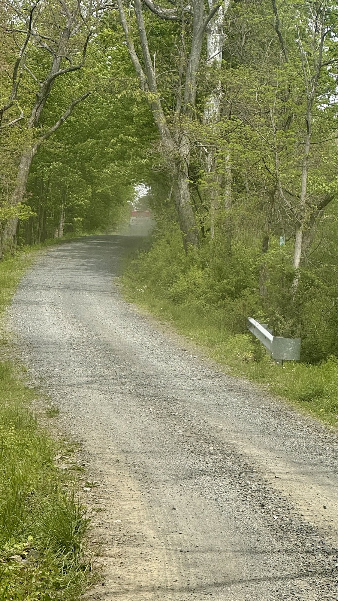 Lost in NJ Woods
